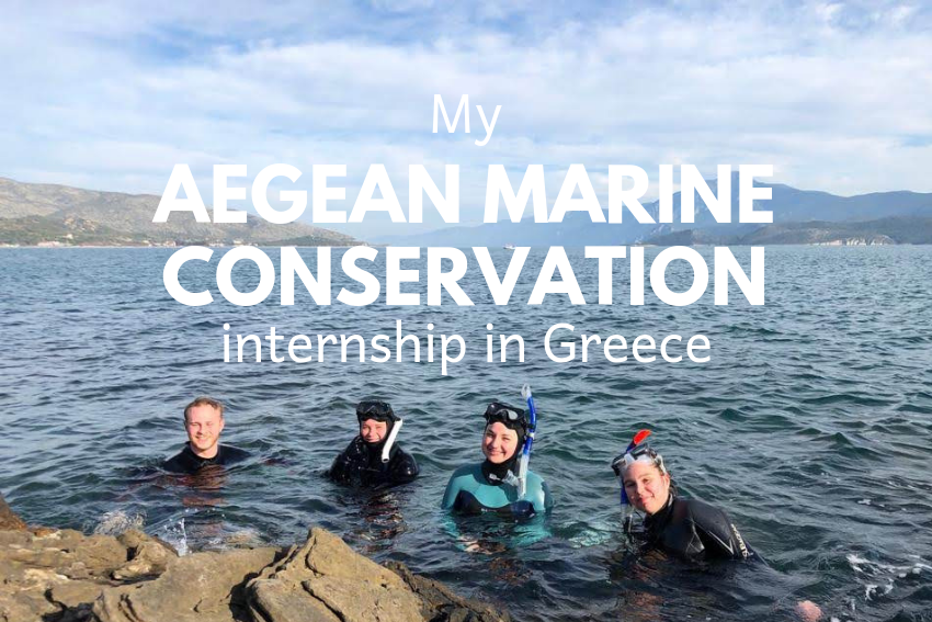My Aegean Marine Conservation internship in Greece Intern Abroad HQ