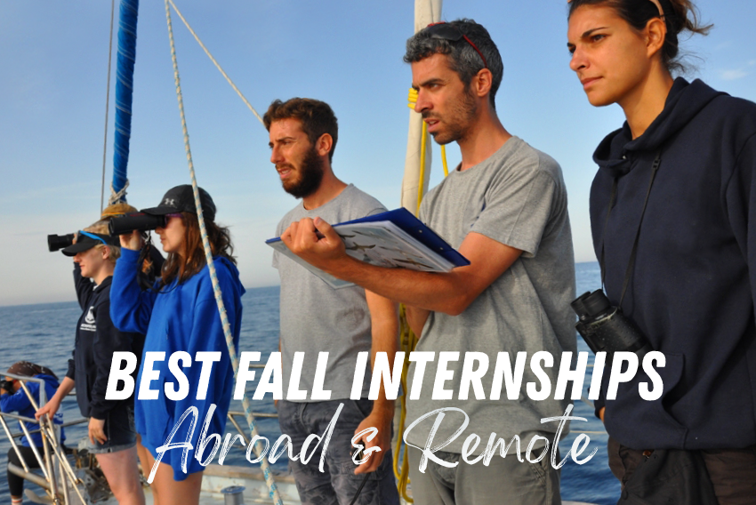 Best Fall 2024 Internships Abroad & Remote Intern Abroad HQ