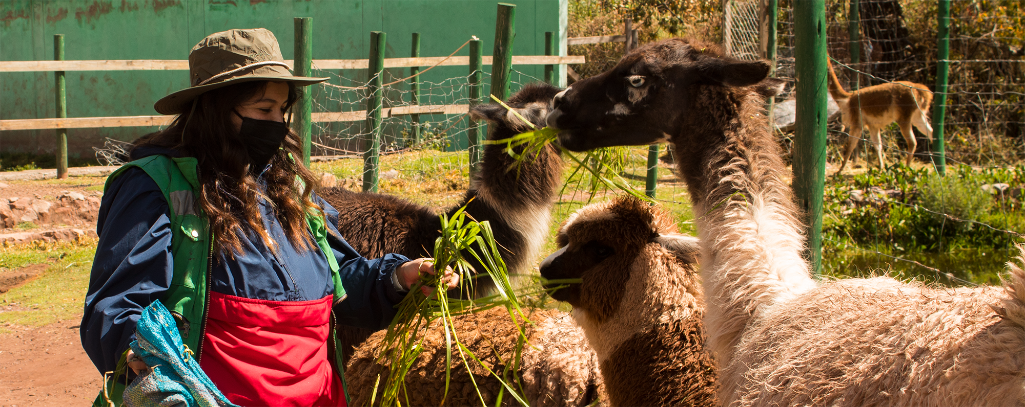 Animal Science Internships For Students & Graduates Animal Science Internships For Students & Graduates