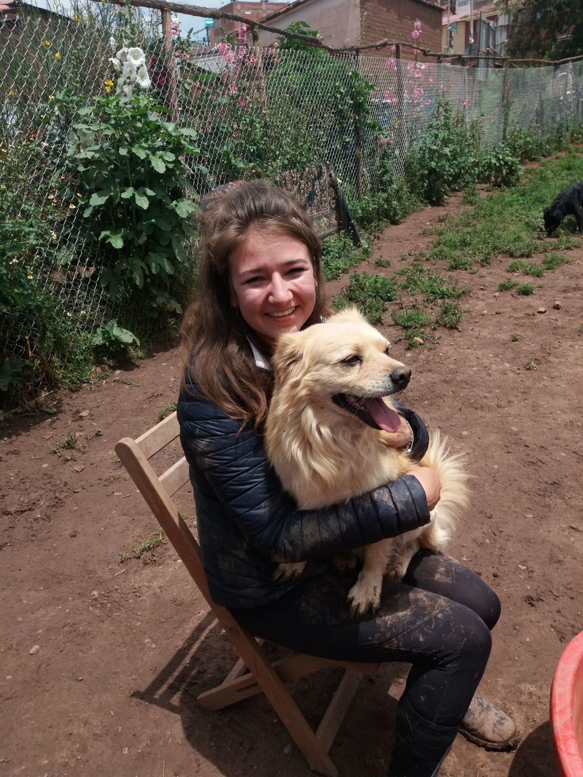 Veterinary Internships Abroad Vet & Animal Care Internships